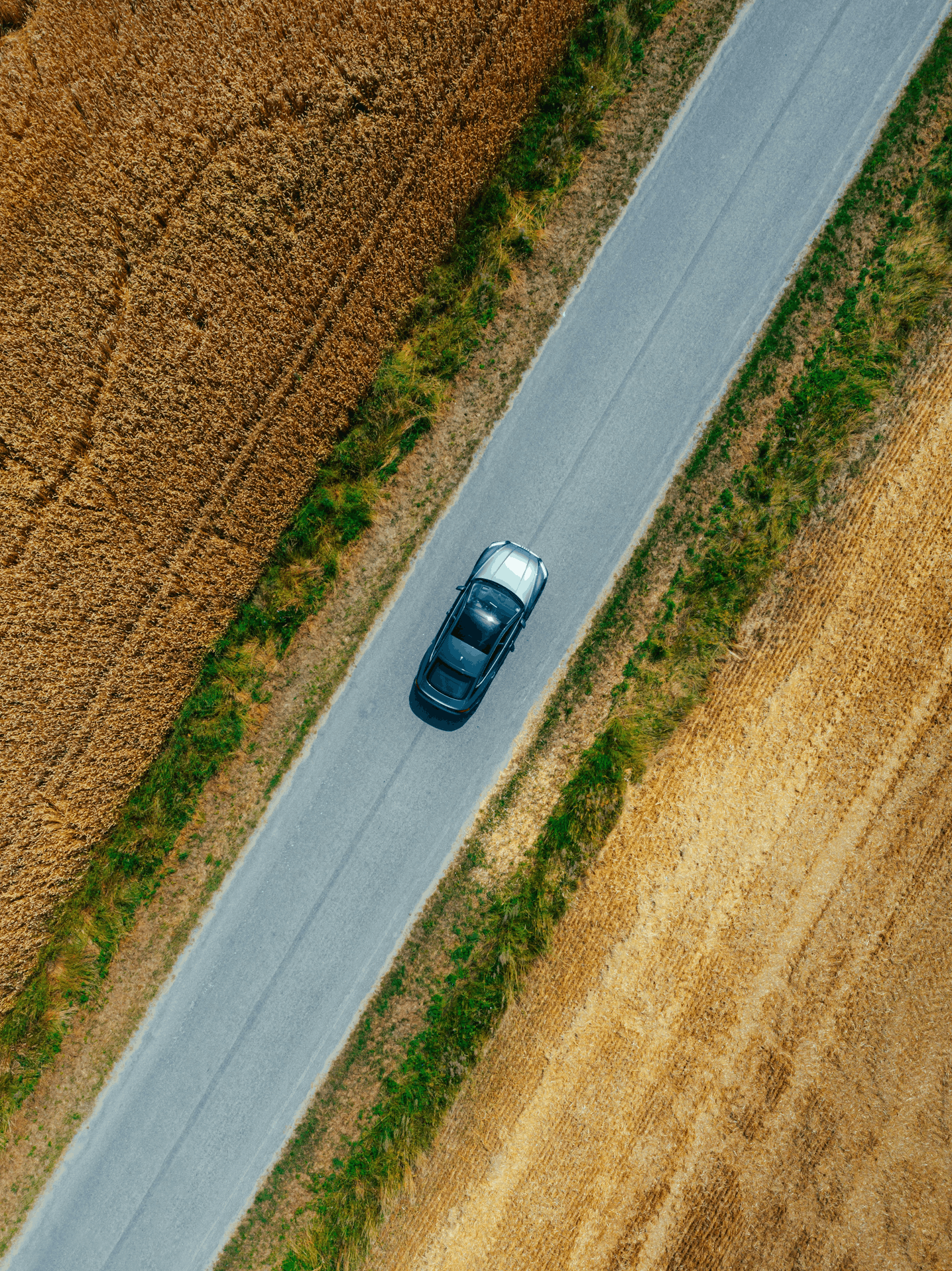 Country highway with mountains on the right and prairies on the left.